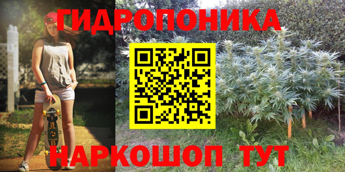 Бошки марихуана Amnesia Сунжа
